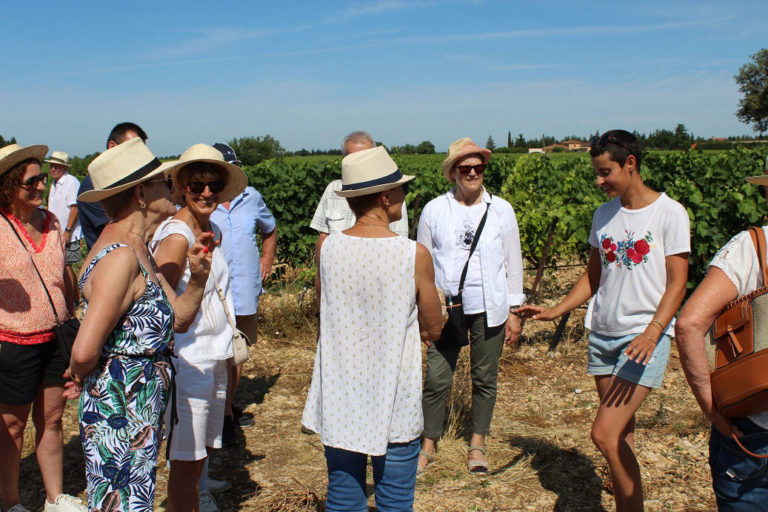Groupe de visiteurs au cœur des vignes du Domaine Chant des Loups