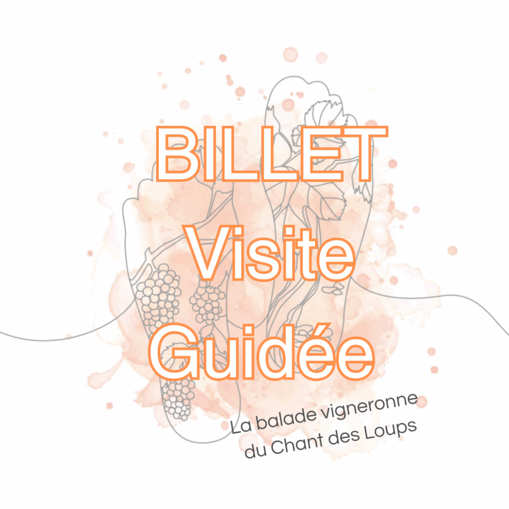 Visite Guidée avec planche apéritive