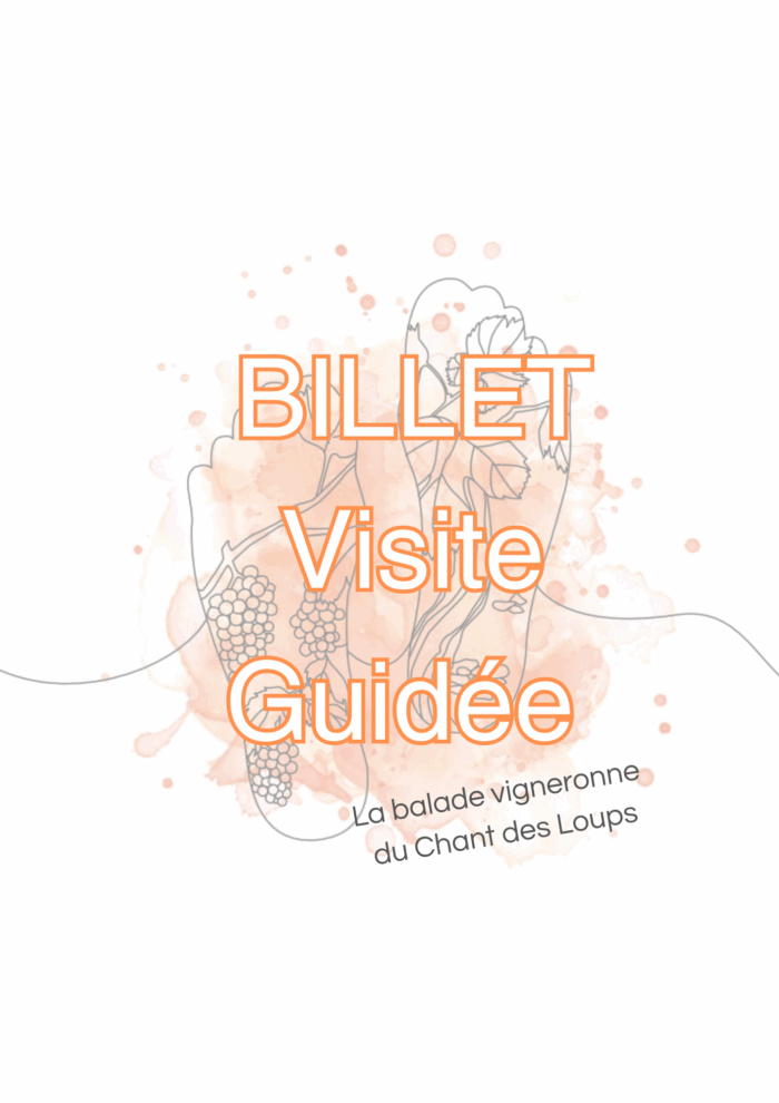 Visite Guidée