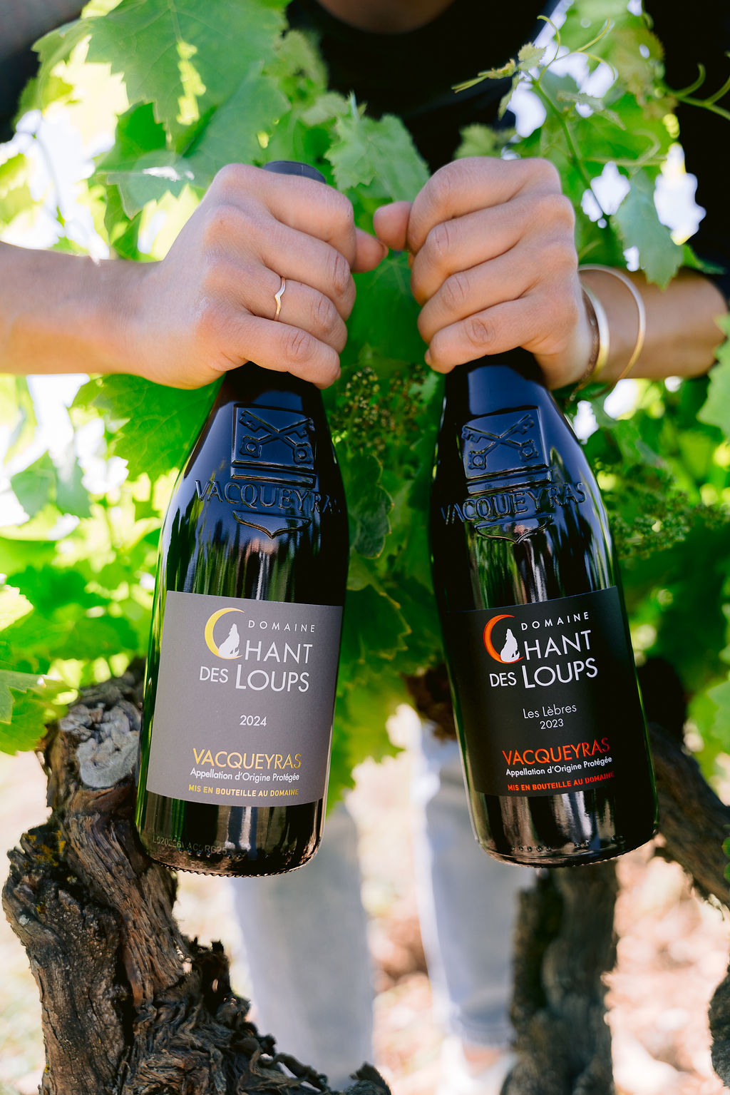 Vacqueyras wines