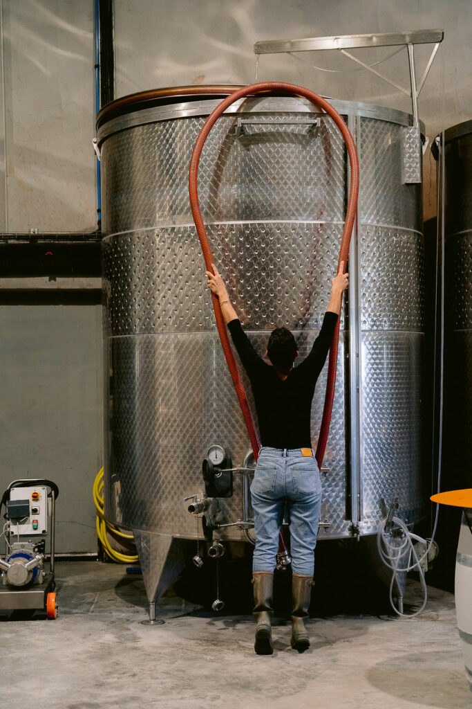 vacqueyras vin bio