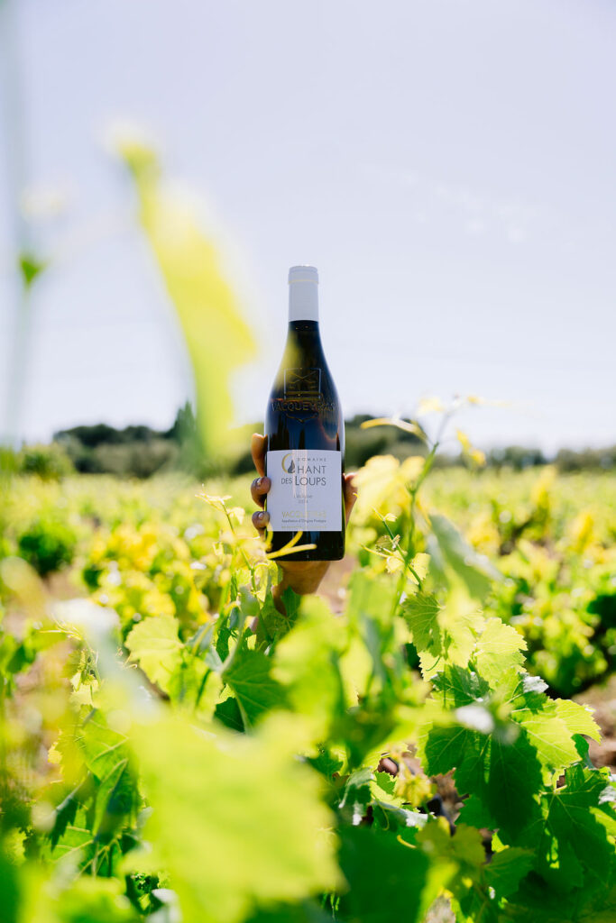 Vacqueyras vin bio