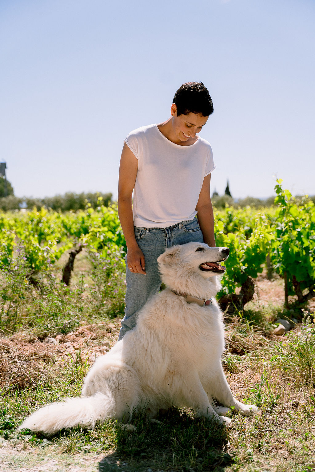 MARIE AYMARD VACQUEYRAS WINES