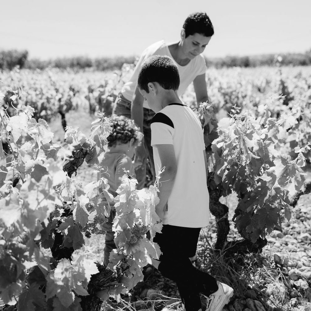 Vacqueyras vin bio