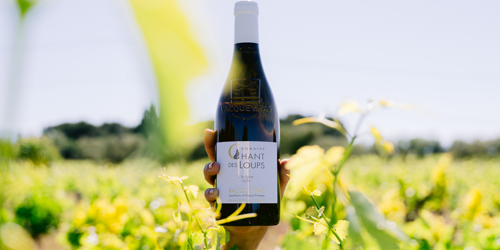 AOC Vacqueyras Vin de la Vallée du Rhône