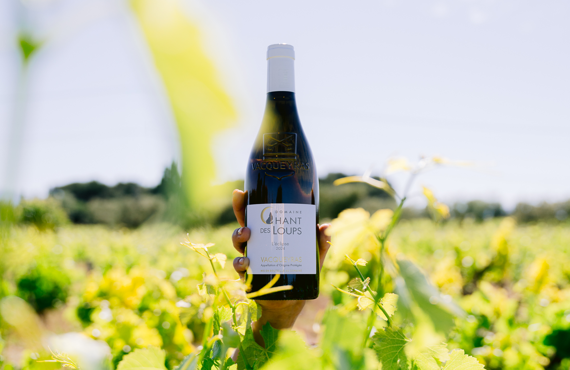 Chant des Loups Vacqueyras vin bio