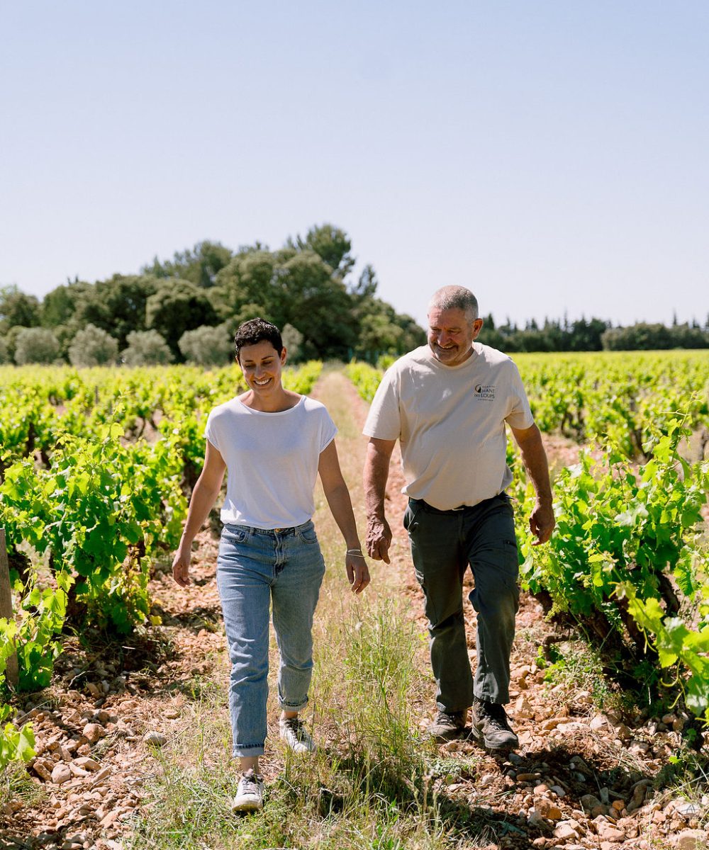 Vacqueyras vin bio