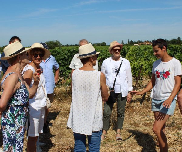 Groupe de visiteurs au cœur des vignes du Domaine Chant des Loups